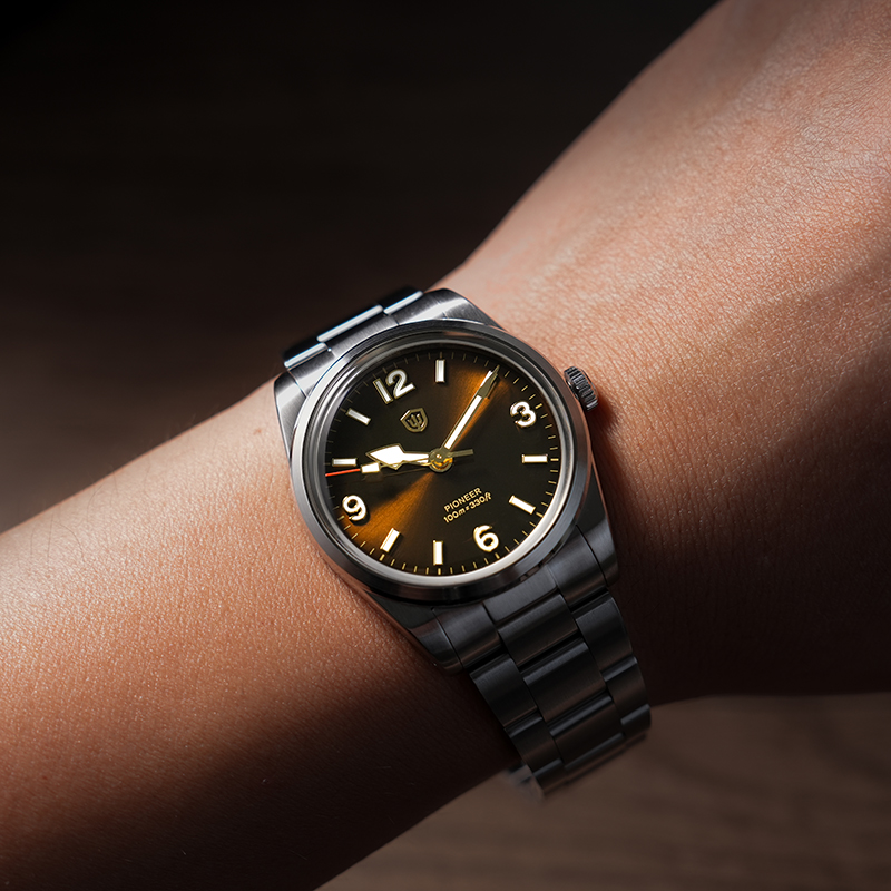 Watchdives WD1960S V2 montre à - Vintage Collectible Watches avis et prix